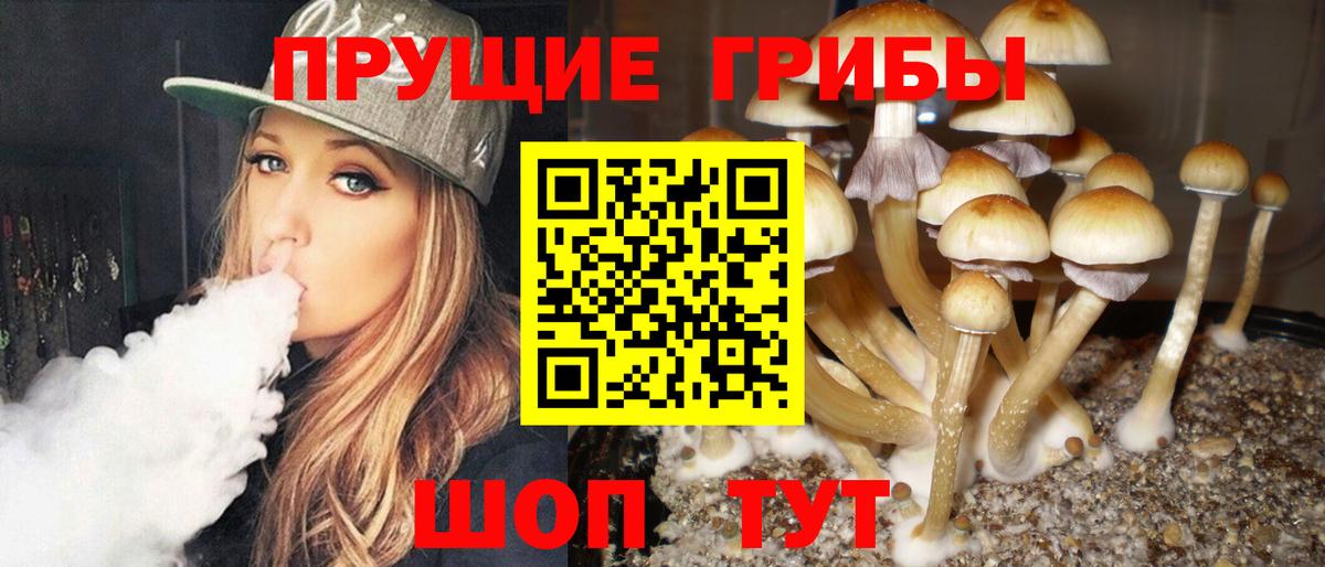 Псилоцибиновые грибы Psilocybe  Псилоцибиновые грибы GOLDEN TEACHER  Ялта  Вход с VPN 